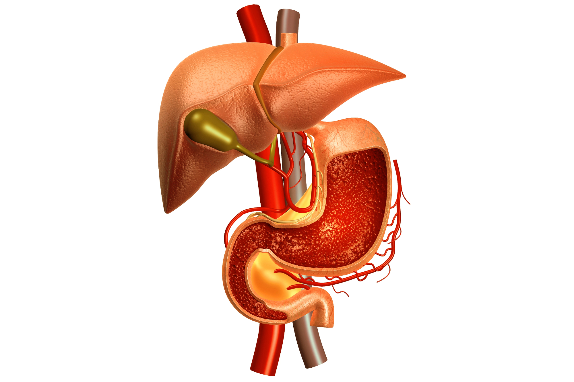 Samoplačniška gastroskopija cena me je najprej kar skrbela